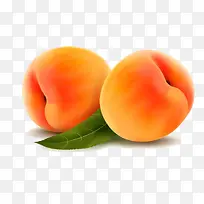 水果-空若网 水果-空若网