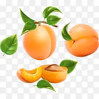 桃子水果素材-空若网 桃子水果素材-空若网