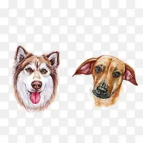 水彩狗头-空若网 水彩狗头-空若网