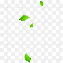 绿色春季时尚绿叶-空若网 绿色春季时尚绿叶-空若网