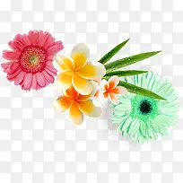 手绘彩色春季花朵-空若网 手绘彩色春季花朵-空若网