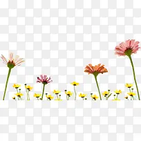 春季彩色文艺小花-空若网 春季彩色文艺小花-空若网