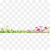 彩色春季植物小花-空若网 彩色春季植物小花-空若网