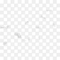 ��ɫ����Ư��װ��-������