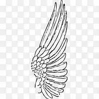 水牛翼画夹艺术-翅膀-空若网 水牛翼画夹艺术-翅膀-空若网