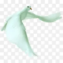 ������ɫ��ƽ��-������