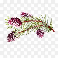 �ɹ���֦װ��ͼ��-������