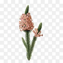 �����ֻ�-������