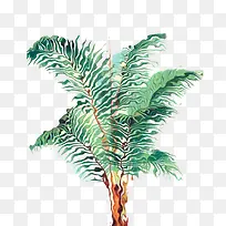 ާ�������-������