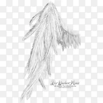 绘图计算机软件-翅膀天使-空若网 绘图计算机软件-翅膀天使-空若网