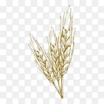 �ֻ�-������