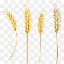 营养麦-空若网 营养麦-空若网