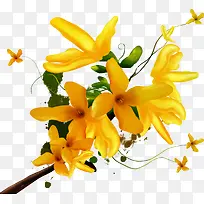 һ֦��ɫ�ֻ滨-������