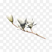 һ֦��-������