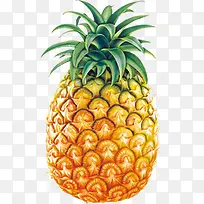 夏日水果清爽菠萝-空若网 夏日水果清爽菠萝-空若网