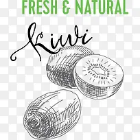 猕猴桃水彩png矢量素材-空若网 猕猴桃水彩png矢量素材-空若网