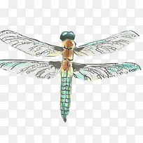 水彩装饰素材-空若网 水彩装饰素材-空若网