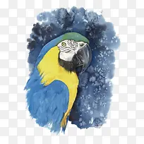 ʸÁ¿ðÐðÄ-¿ÕÈôÍø ʸÁ¿ðÐðÄ-¿ÕÈôÍø