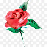 ˮ�ʻ�Ǿޱ���ز�-������