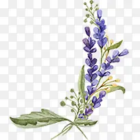 Þ¹Ò²ÝË®²Ê»ËزÄ-¿ÕÈôÍø Þ¹Ò²ÝË®²Ê»ËزÄ-¿ÕÈôÍø