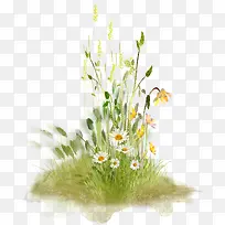 水彩花草素材-空若网 水彩花草素材-空若网