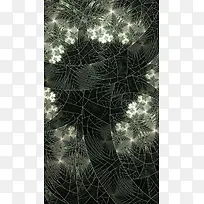 白色线条花纹光效-空若网 白色线条花纹光效-空若网