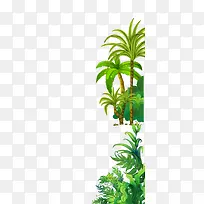 椰子树-空若网 椰子树-空若网
