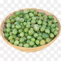 猕猴桃果实-富士-空若网 猕猴桃果实-富士-空若网