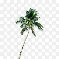 ���պ�����ӰҬ����-������