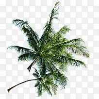 ���е�Ҭ�����Ա�����-������