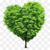 绿色树叶爱心装饰设计-空若网 绿色树叶爱心装饰设计-空若网