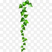 环保爱心树叶装饰-空若网 环保爱心树叶装饰-空若网