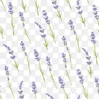 ʸ��޹�²�-������