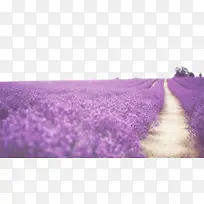 ��ɫ޹�²�����ز�.-������