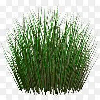 ��������ɫ�Ĳ�-������