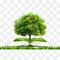 长树的书-空若网 长树的书-空若网