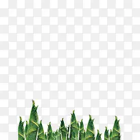 ��ɫ������ʳ��ʳ����ζ-������