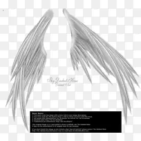 银-空若网 银-空若网