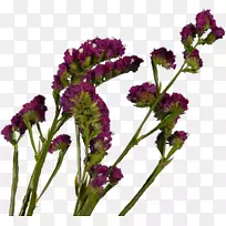 ����޹�²��������л��ݱ�����-������