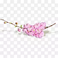 �л�����-����-������