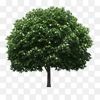 ��-������