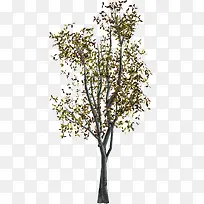 ��-������