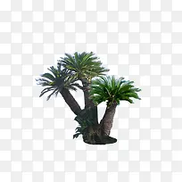 ��ľ-������