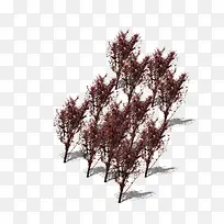 景观鸟瞰树-空若网 景观鸟瞰树-空若网