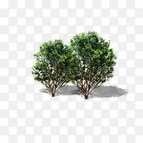 ���������-������