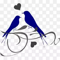爱鸟剪贴画-鸟婚礼剪贴画-空若网 爱鸟剪贴画-鸟婚礼剪贴画-空若网