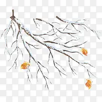 白色雪花树枝-空若网 白色雪花树枝-空若网