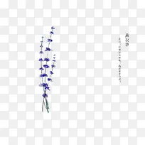 手绘花卉-空若网 手绘花卉-空若网
