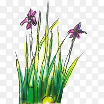 手绘水彩紫色小花-空若网 手绘水彩紫色小花-空若网