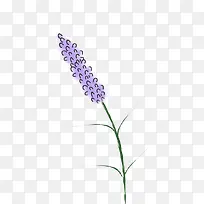 ޹�²���ɫ��-������